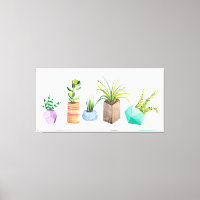 Pot of Succulents