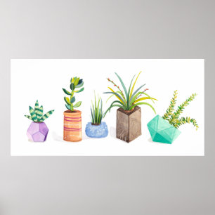 Pot of Succulents Poster