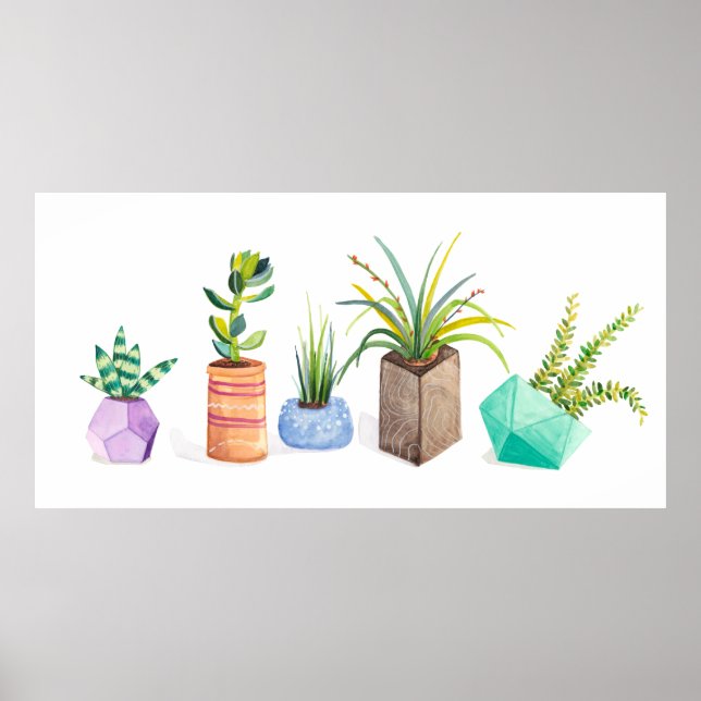 Pot of Succulents Poster (Front)