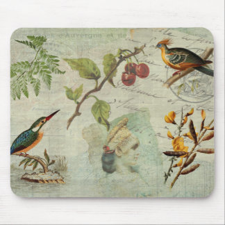 Pot-Pourri Mouse Mat