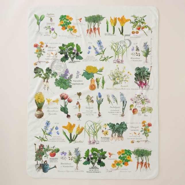 Potager Garden. Gardener's   blanket (Front)