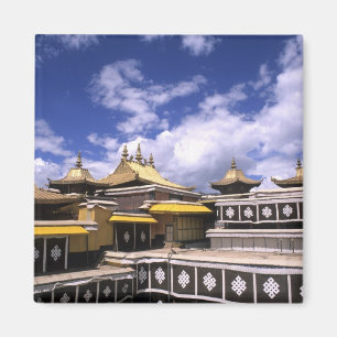 Potala Palace inside with steeples at the home Magnet