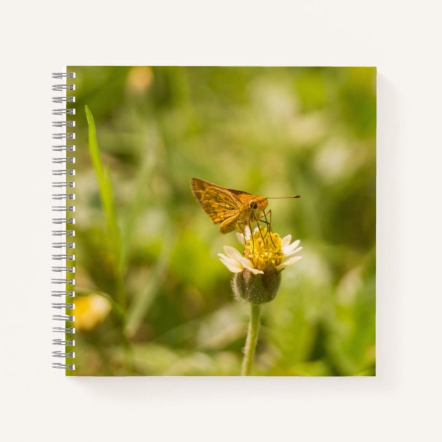 Potanthus omaha notebook (Front)