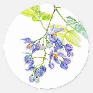 Potato creeper vine art floral sticker