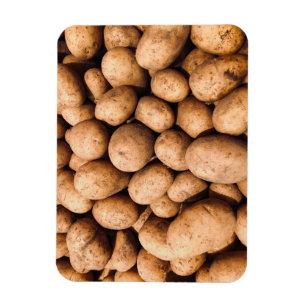 Potato Magnet