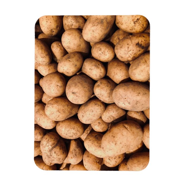 Potato Magnet (Vertical)