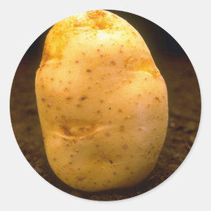 Potato on dirt classic round sticker