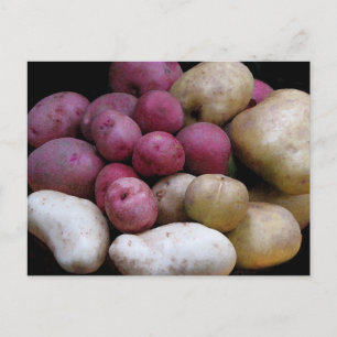 Potato Postcard