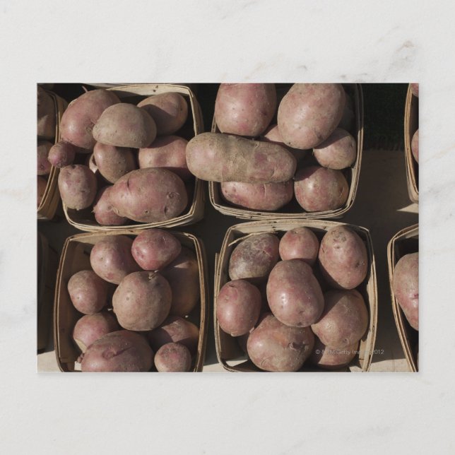 Potatoes at a New Jersey farmer's market Postcard (Front)