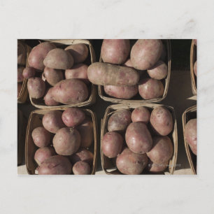 Potatoes at a New Jersey farmer's market Postcard