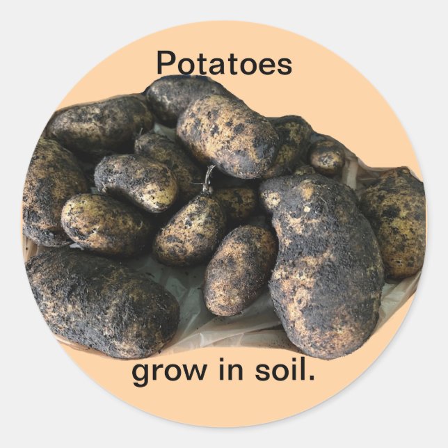 Potatoes grow in soil, custom stickers (Front)