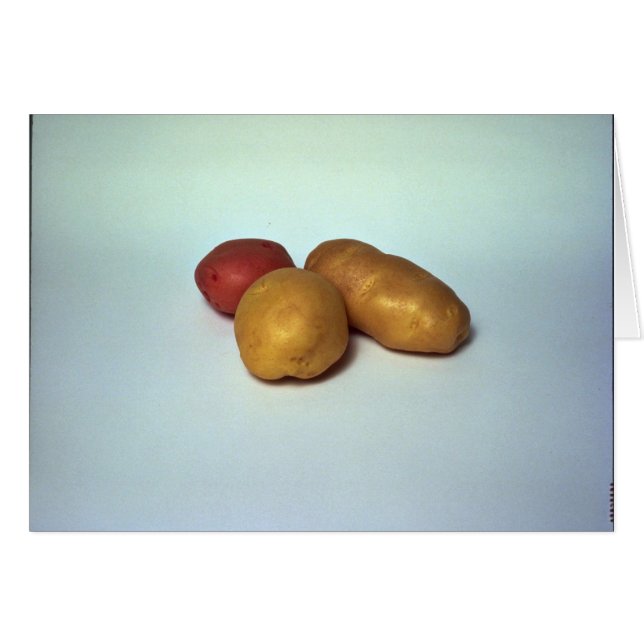 Potatoes on white background (Front Horizontal)