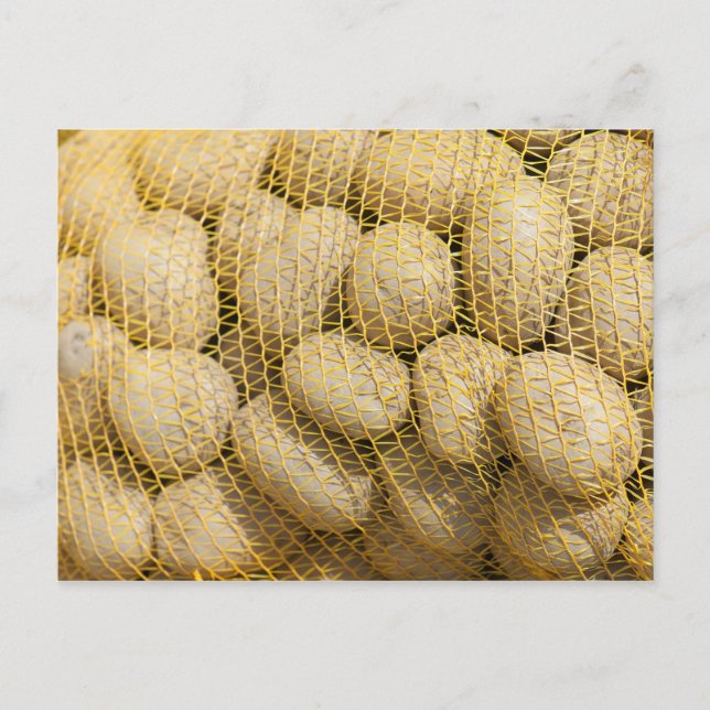 Potatoes Postcard (Front)