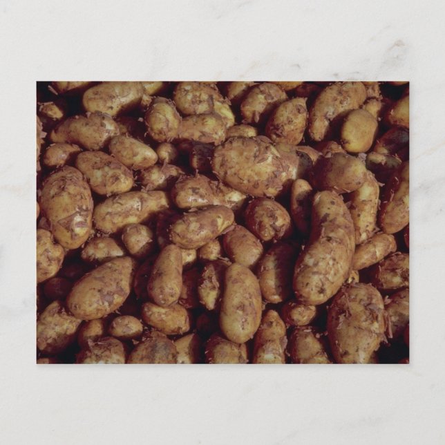 Potatoes Postcard (Front)