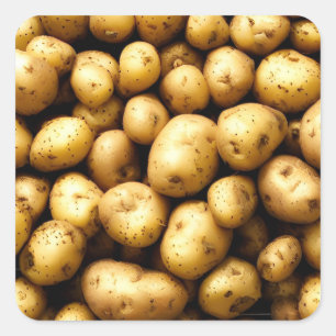 Potatoes Square Sticker