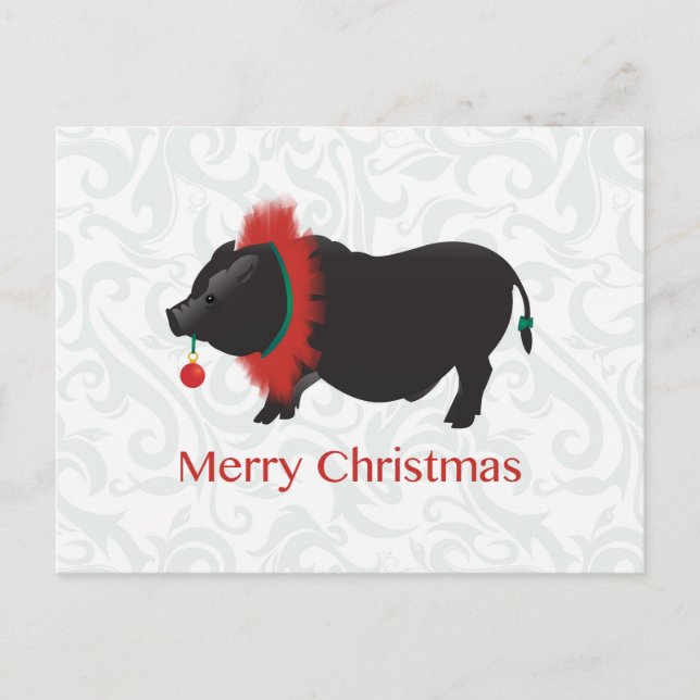 Potbellied Pig Merry Christmas Design Holiday Postcard (Front)