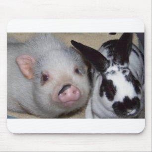 Potbelly Pig & Friend Mouse Mat
