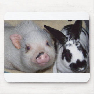 Potbelly Pig & Friend Mouse Mat