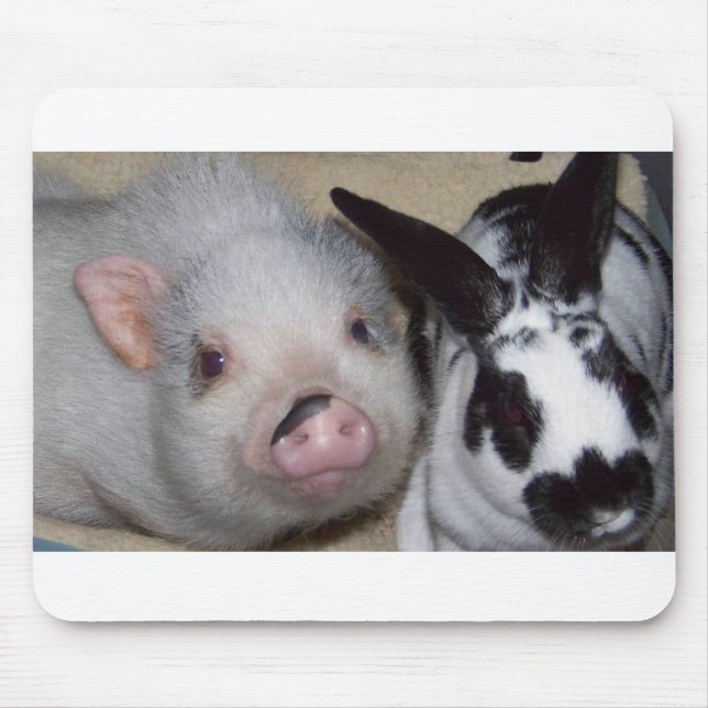 Potbelly Pig & Friend Mouse Mat (Front)