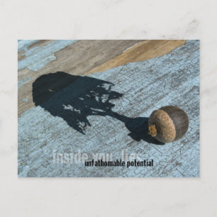 "Potential" Postcards