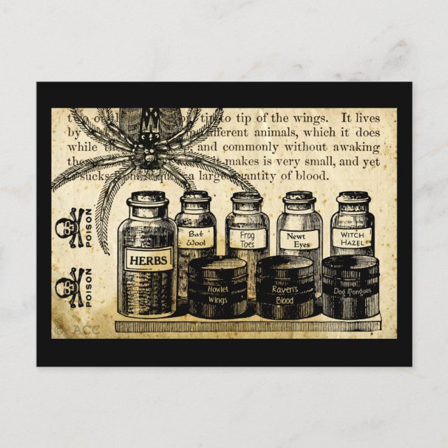 Potions Spider Skull Cross Bones Poison Postcard (Front)