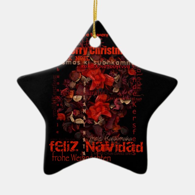 Potpourri World Xmas Navidad Noel Star Ornament (Front)