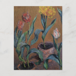 Pots of Tulips by Claude Monet Postcard