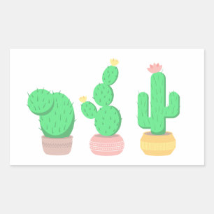 Potted Cacti - Cactus Plants Rectangular Sticker