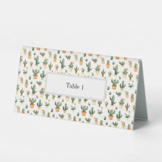 Potted Cactus on White