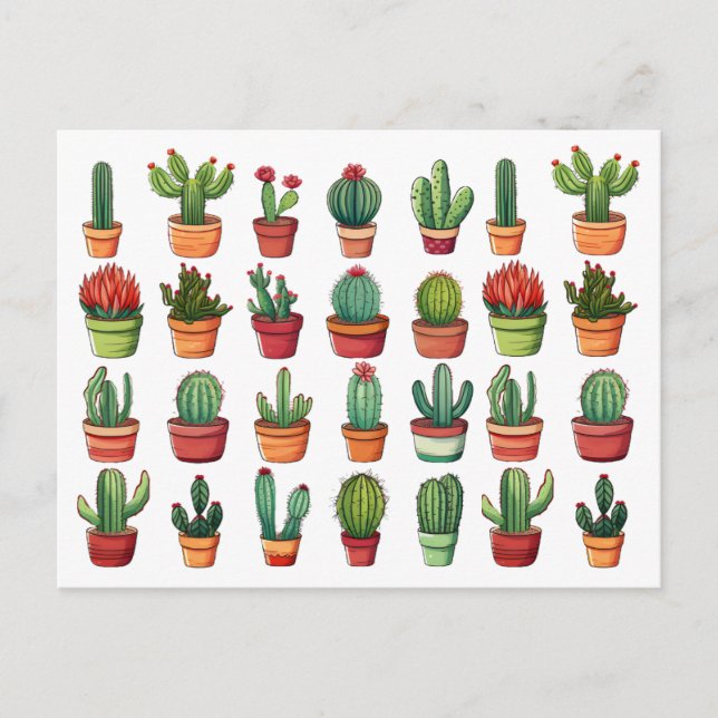 Potted Desert Cactus and Succulents  Postcard (Front)