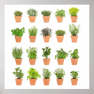 Potted herbal plants customise with your own text poster