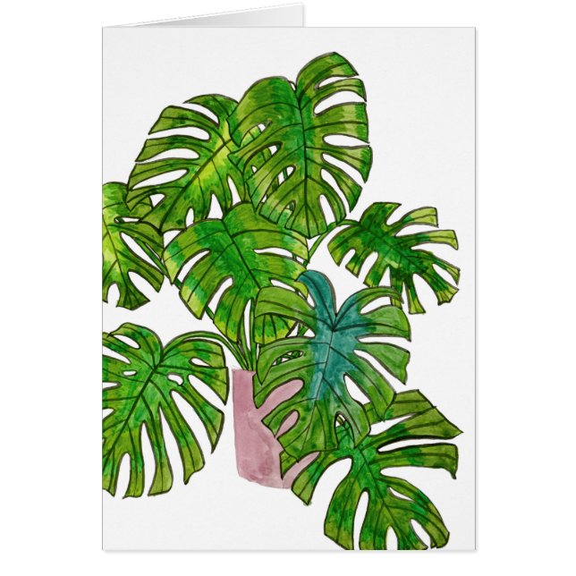 Potted Jungle I (Front)