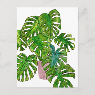 Potted Jungle I Postcard