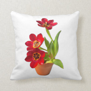 Potted Mature Red Tulips Photograph Cushion