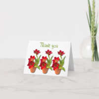 Potted Mature Red Tulips Photograph