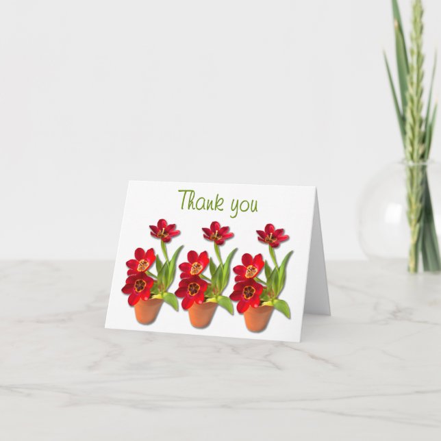 Potted Mature Red Tulips Photograph Thank You Card (Front)