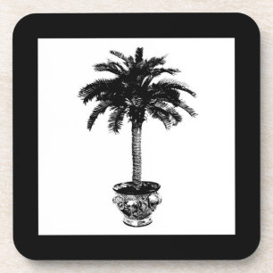 Potted Palm Tree - black and white Coaster