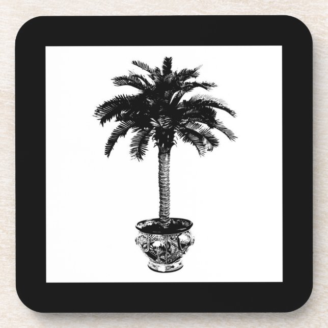 Potted Palm Tree - black and white Coaster (Front)