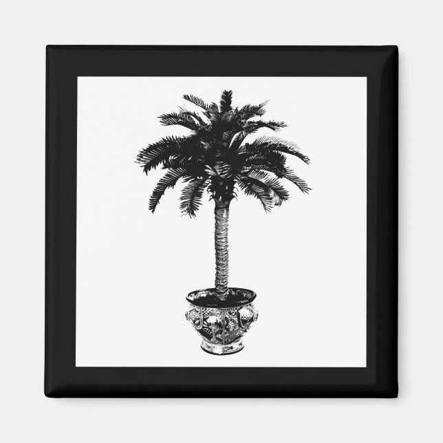 Potted Palm Tree - black and white Magnet (Front)