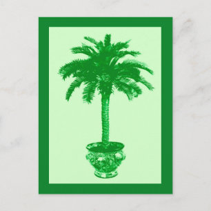 Potted Palm Tree, Emerald and Light Green Postcard