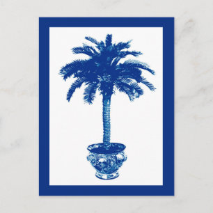 Potted Palm Tree, Navy Blue and White Postcard