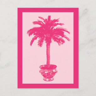 Potted Palm Tree, Shades of Coral Pink Postcard