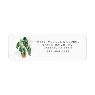 Potted Plant Greenery Return Address