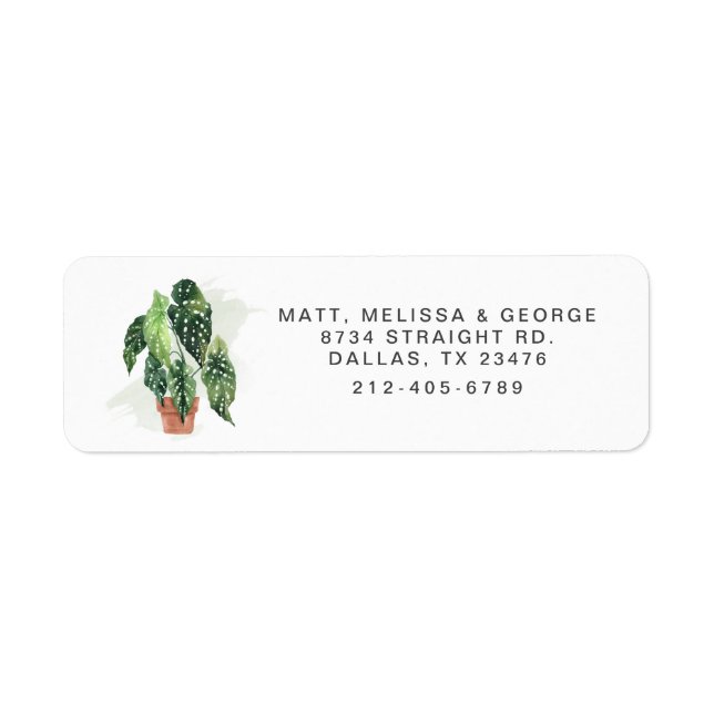 Potted Plant Greenery Return Address (Front)