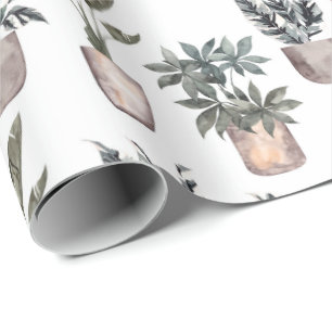 Potted Plants On White Wrapping Paper