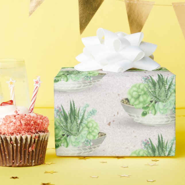 Potted Succulent Plant on Terrazzo Wrapping Paper (Birthday Party)