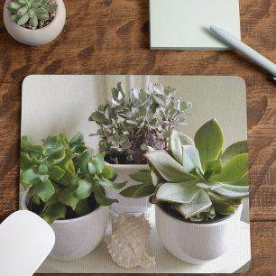 Potted Succulents in White with Seashell Mouse Mat