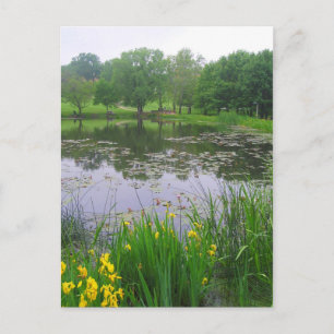 Potter Lake in Lawrence, Kansas, Postcard