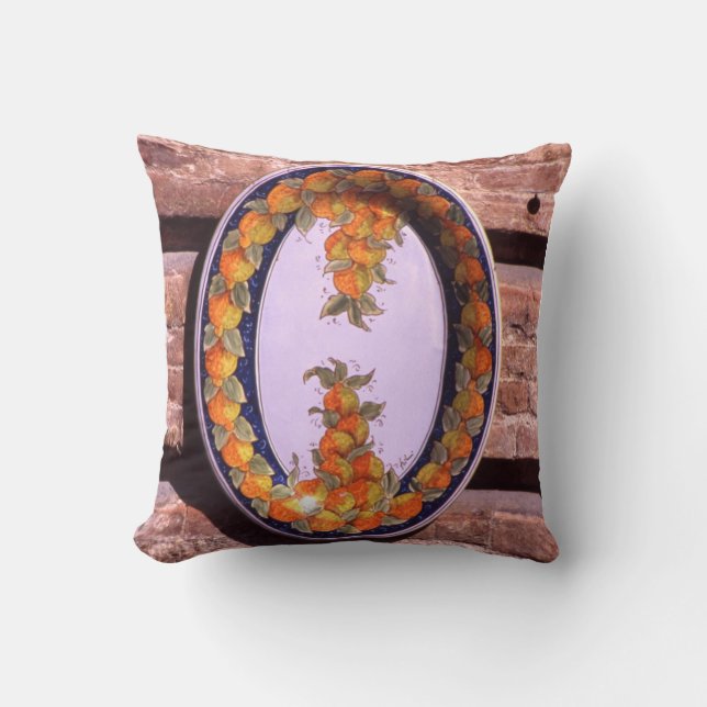 Pottery Serving Dish Poster Plaque Cushion (Front)