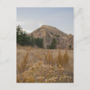 Poudre Canyon Colorado Postcard